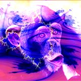 Shell D-7 Dj Set @ Tuesday Dive @ Groove 17042012