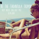 |Rather Be The Tarantula Trippin'|DeepHouseRemix|03.05.2014