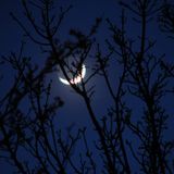 The Color Midnight Made 129: Ambient + Chill