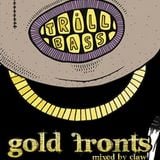 Gold Fronts