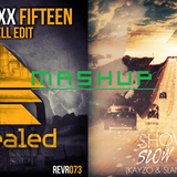 Mashup (Showtek vs Blasterjaxx)