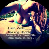 Luke Zedd - Spring Boobs - SelectorOne Promo 2014(21.03.2014)