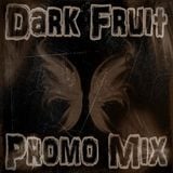 Dark Fruit - Promo Mix Vol. 1