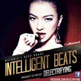 Intelligent Beats (BEST OF DEEP HOUSE)