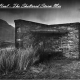 The Sheltered Storm Mix