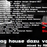 ich sag house dazu vol.17