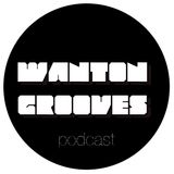 Wanton Grooves Podcast #54 (The Wanton live mix) 6.4.2014