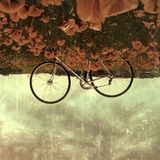 Field Ride