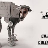 CO-SESSION CINEMA SERIES