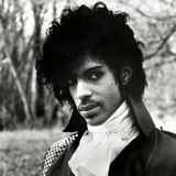Purple Reign 2 : The Music of Prince