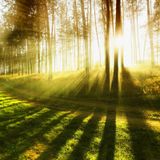 Spring Equinox '16 - House Spring Clean