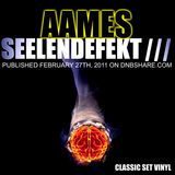 AAMES - SEELENDEFEKT III ( Classic Mix Vinyl Set 2011 )