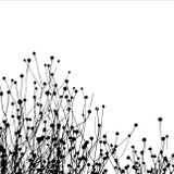 Music for lovers