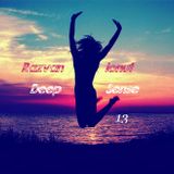 Razvan Ionut- Deep Sense 13 ( 2016 )