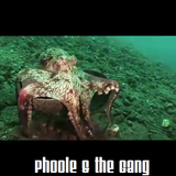 @Phoole and the Gang | Show 142 | Cephalopodcast | @IdealClubWorld Radio | 15 April 2016