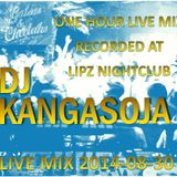 DJ Kangasoja Live At Lipz Nightclub 20140830