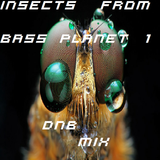 Frizbee's - Insects From Bass Planet 1 Mix (DnB)