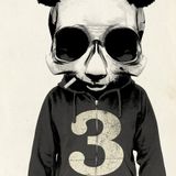 Never Say No To Panda # 5
