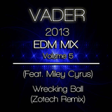 2013 EDM Mix (Volume 5)
