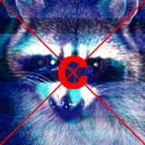 Coon exploits v.1