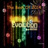 Soulful Evolution The Best Of 2014 Special