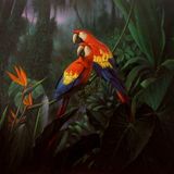 Birds of Paradise II