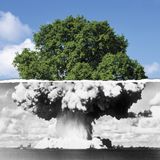 If I love peace do I have to love trees ?