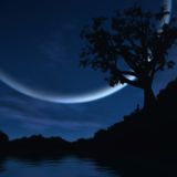 Starlight
