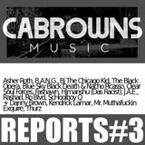 CABROWNS REPORTS#3