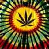 Herbal Vybez 5