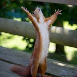 porfin es viernes