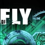 dj fly mix vol.01