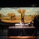 From the West Coast to East Africa (05.22.11)