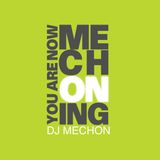 Mechoning Summer Mix 2016