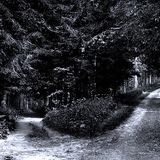 All Paths Lead To One , Christmas Mix