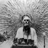Parson - The Bees Made Honey in Ram Dass' Skull