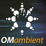 OMambient in the mix - Sunny Sunday at Biscayne Bay, Miami 33132000
