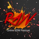 Kasger @ RAYV Online EDM Festival 2013
