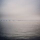 ladoB#330