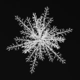 Ambient, Downtempo & Electronica / FC Shuttle vs DJ Systolische Phase
