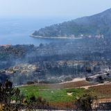 Kako osigurati potpore i pomoć u sanaciji oštećenih poljoprivrednih površina