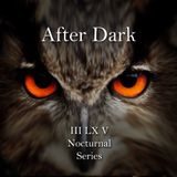 After Dark