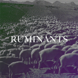 Ruminants mix (14/03/14)