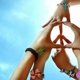 In Pursuit Of Peace