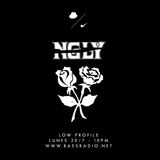 LOW PROFILE #88 NGLY / UNFINISHED PORTRAITS (DJ sets)
