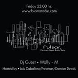Pulsar 23.11 - Presenta a - Wally-M - (Entrevista)