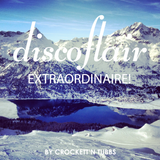 Discoflair Extraordinaire February 2013