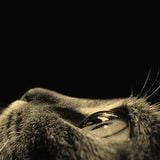 Promo Mix for Elements of Groove by JadeL