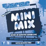 DJ SEIZE - Hi Energy Mini Mix - April 2012 Week 3