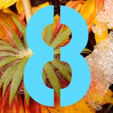 Micromix 8